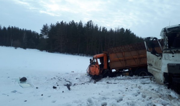 В Воронежской области 55-летний мужчина погиб при столкновении грузовиков