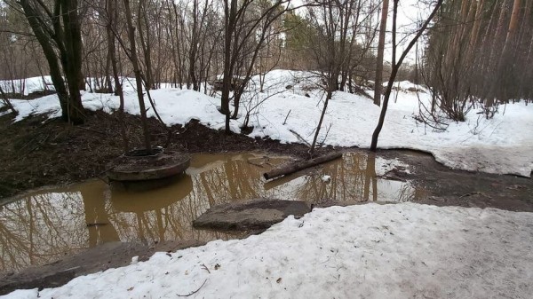 Содержимое канализации протекло в воронежский Северный лес