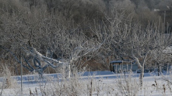 В Воронежской области температура опустится до 19 градусов мороза В Воронежской области температура опустится до 19 градусов мороза