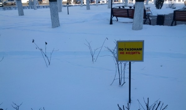 Какая погода ожидается в Воронеже на выходных 12-13 февраля