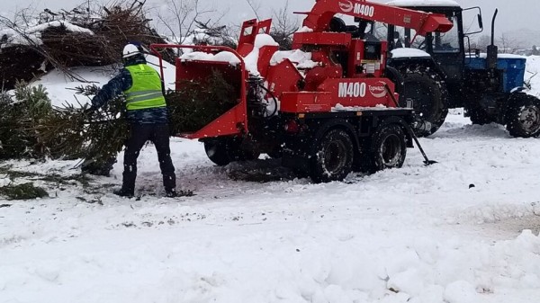 Новогодние ели с площади Ленина измельчат и используют для благоустройства улиц Воронежа