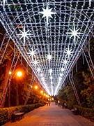 За прошедший год в Воронеже обновили сети наружного освещения на 134 улицах