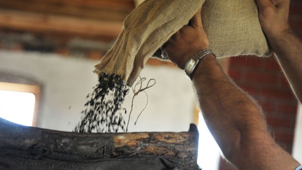 Итоги недели. Что важного произошло в Воронежской области с 7 по 13 февраля