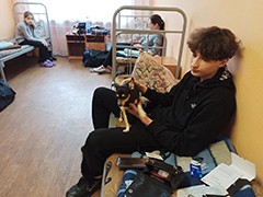 Воронеж принял граждан, вынужденно покинувших ДНР и ЛНР