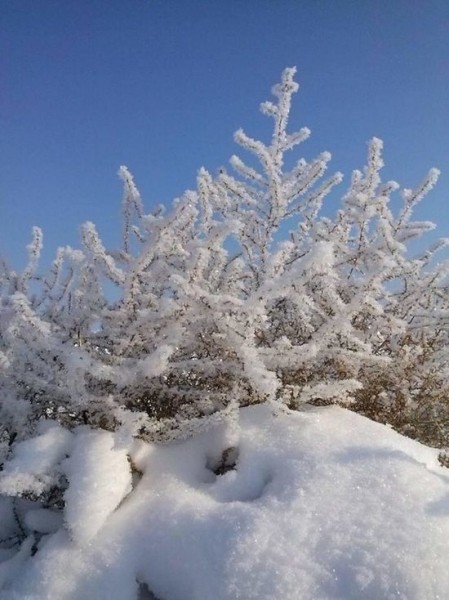 В четверг в Воронежской области ожидается ночной мороз и дневная плюсовая температура