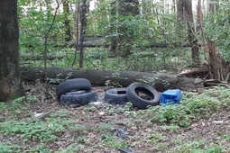 Содержимое канализации протекло в воронежский Северный лес