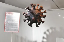 Воронежский губернатор подписал указ о продлении ограничений по COVID-19