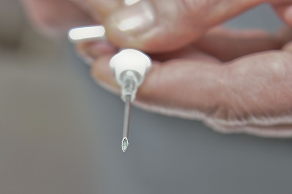 Безопасность под кожей. Как и для чего в Воронеже чипируют бездомных собак