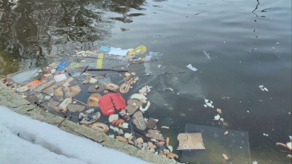 Пруд в Центральном парке Воронежа очистили от мусора и вредного для уток хлеба