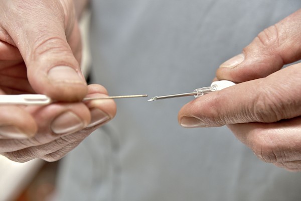 Безопасность под кожей. Как и для чего в Воронеже чипируют бездомных собак