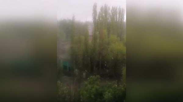 Снег выпал в Воронеже 10 мая