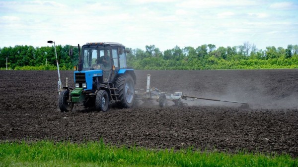 Итоги недели. Что важного произошло в Воронежской области с 23 по 29 мая