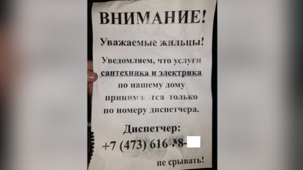 Воронежцев предупредили об &laquo;орудующих&raquo; от лица УК сантехниках-мошенниках