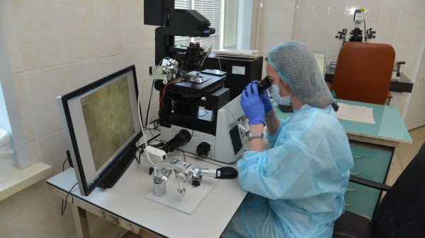 Роспотребнадзор указал на низкую вероятность завоза оспы обезьян в Россию