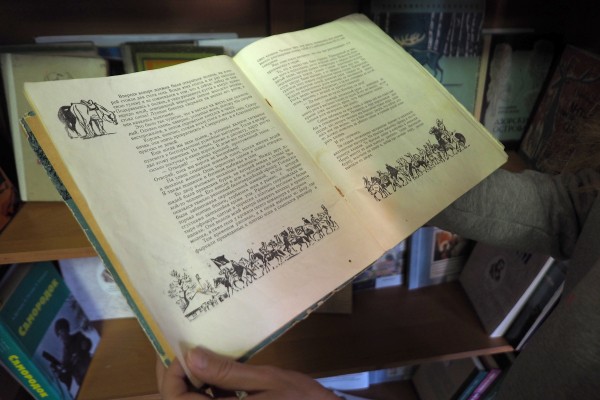 От посиделок до ассамблеи. Какой станет двухдневная &laquo;Библионочь-2022&raquo; в Воронеже