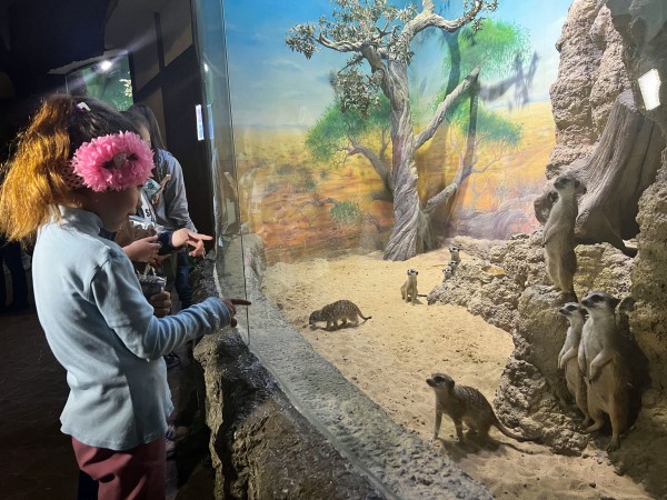 &laquo;Познаем мир вместе&raquo; в Воронежском океанариуме и КидБурге