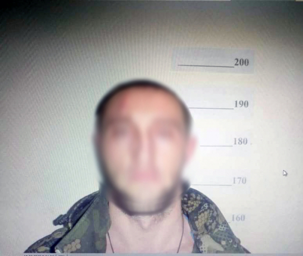 Воронежские похитители почти трех сотен племенных баранов и лани могут загреметь за решетку на 10 лет