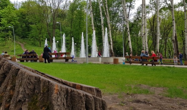 Какая погода ожидается в Воронеже на первых выходных лета &mdash; 2022