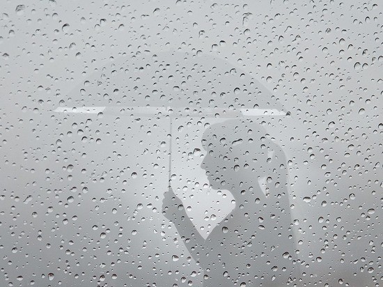 Начало новой недели порадует воронежцев дождем