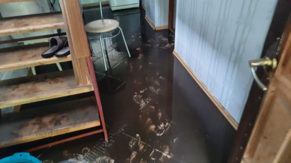 Частный сектор на улице Песчаной в Воронеже затопило после ливня