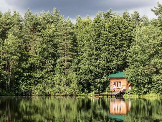 Что посадить воронежцу, если участок расположен в лесу