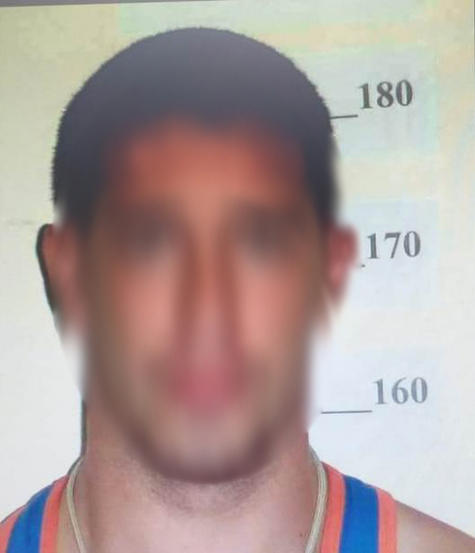 Воронежские похитители почти трех сотен племенных баранов и лани могут загреметь за решетку на 10 лет