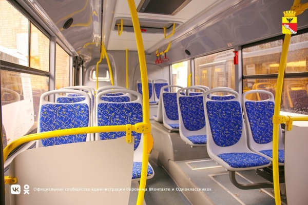 Воронежцам сообщили по каким направлениям распределят новые 63 автобуса