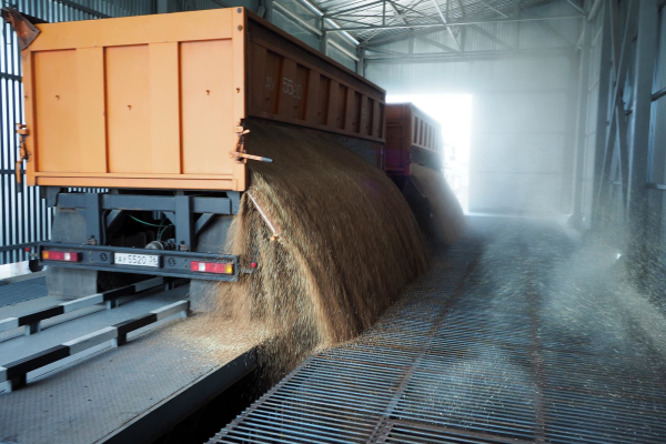 ГК &laquo;Продимекс&raquo; открыла модернизированный участок Тулиновского элеватора в Воронежской области