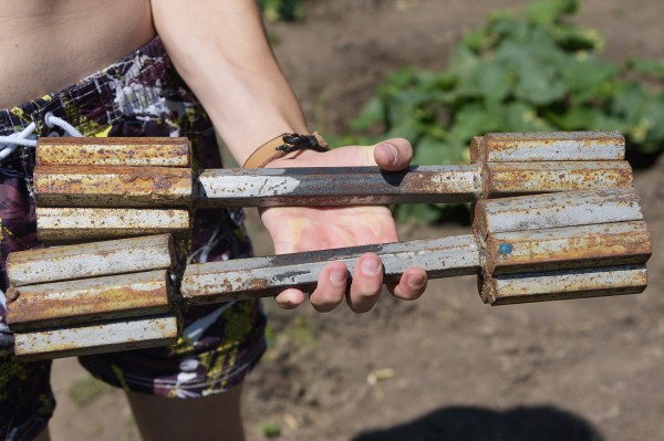 Железные ребята. Как в небольшом Богучаре готовят победителей и призеров мировых первенств