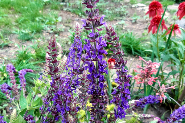 Гид РИА &laquo;Воронеж&raquo;. Как культурно и активно провести выходные 9-10 июля