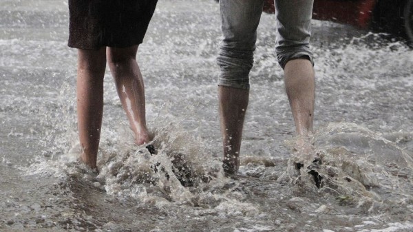 Ливни и грозы спрогнозировали синоптики в Воронежской области