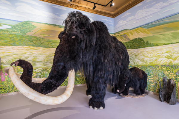 Гид РИА &laquo;Воронеж&raquo;. Как культурно и активно провести выходные 9-10 июля