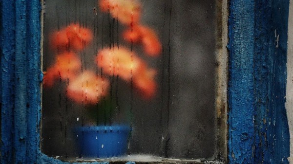 Оранжевый уровень погодной опасности отменили в Воронежской области