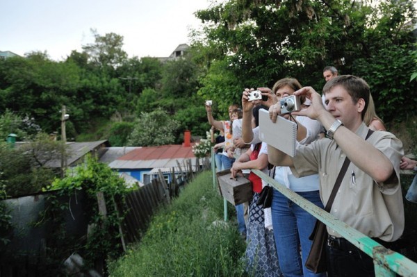 Гид РИА &laquo;Воронеж&raquo;. Чем заняться в последние выходные июля
