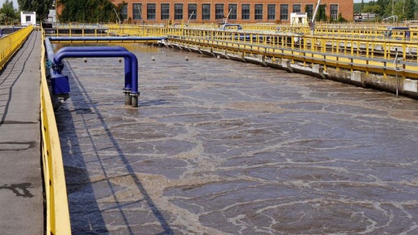 В Воронеже создали рабочую группу по согласованию условий концессии ЛОС