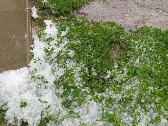 В Коминтерновском районе Воронежа прошел сильнейший ливень с градом, снесло остановку и повалило деревья