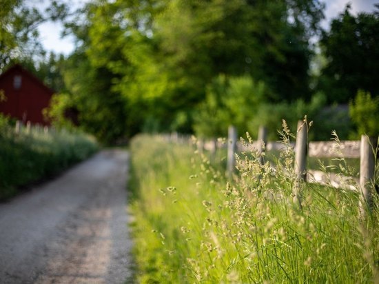 Мужчину, находящегося в федеральном розыске, задержал под Воронежем сельский участковый