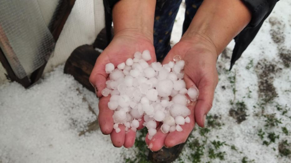 Грозы и град прогнозируют в Воронежской области
