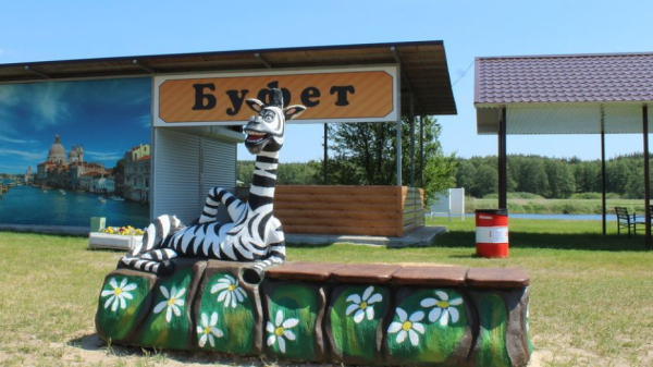 Продавец турбазы под Воронежем поднял цену до 300 млн рублей Продавец турбазы под Воронежем поднял цену до 300 млн рублей