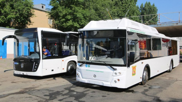 Итоги недели. Что важного произошло в Воронежской области с 4 по 10 июля