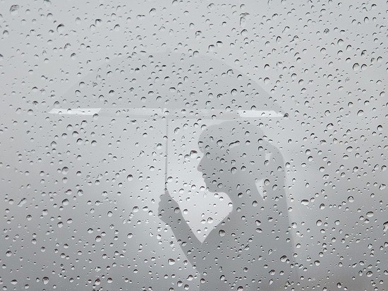 160% от июльской нормы выпало осадков в Воронежской области за текущий месяц, что привело к богатому урожаю грибов