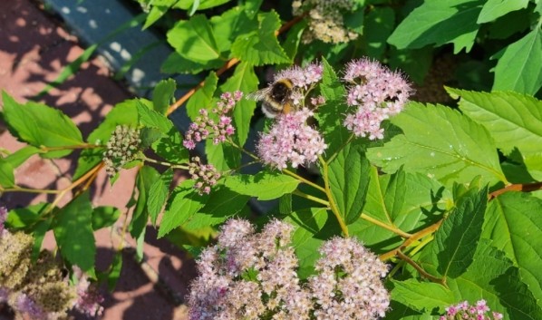 Первые выходные июля в Воронеже будут теплыми и солнечными