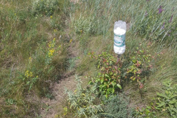 Охотники нашли подозрительные гранулы в месте обитания байбаков в Воронежской области