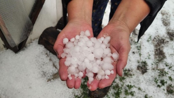 В Воронежской области вновь ожидается град