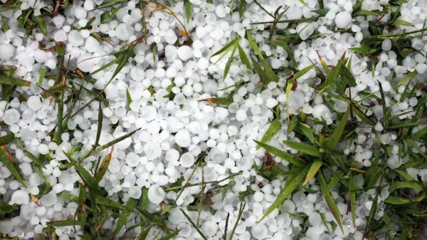 Метеорологи предупредили воронежцев о сильной жаре и грозах с градом 10 июля