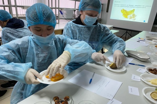 Кем быть? Как в Воронежской области работает проект ранней профориентации &laquo;Билет в будущее&raquo;