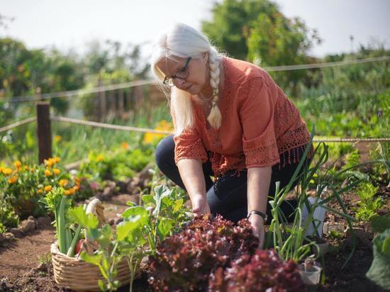 Важные дела стоит сделать воронежцам в саду в июле