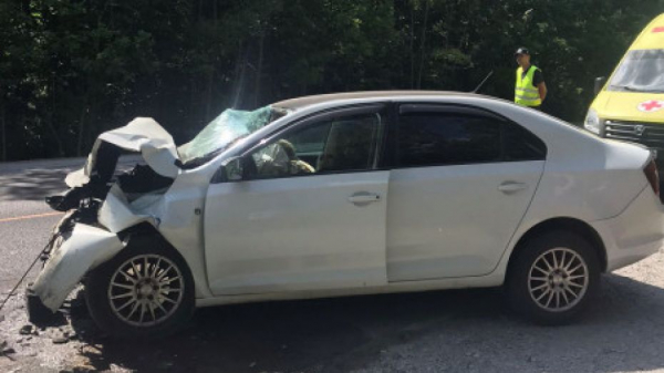 За сутки в Воронежской области 3 человека погибли в ДТП