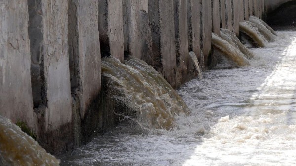 Росприроднадзор потребовал от ЛОС 6 млрд рублей за ущерб Воронежскому водохранилищу