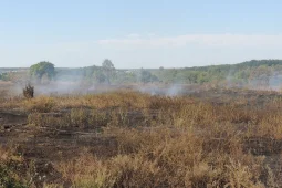 Росприроднадзор потребовал от ЛОС 6 млрд рублей за ущерб Воронежскому водохранилищу